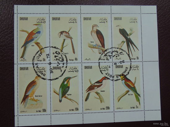 Дофар. Dhufar. Птицы 1972