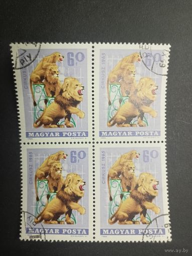 Венгрия 1965. Цирк. Квартблок