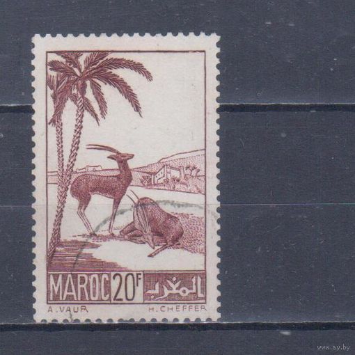 [1903] Французские колонии. Марокко 1939. Фауна.Антилопы.20 фр. Гашеная марка.