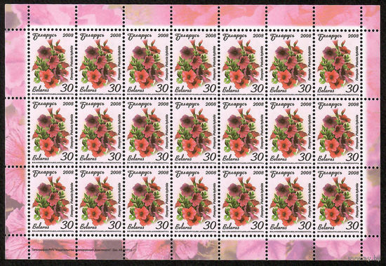 Беларусь. 2008. Стандарт. Петуния (30р) (з.44-2011) Лист