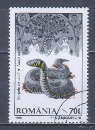 [1550] Румыния 1996. Фауна.Рептилии.Змеи.Уж. Гашеная марка.