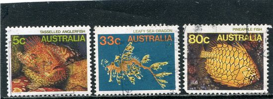 Австралия. Морская фауна