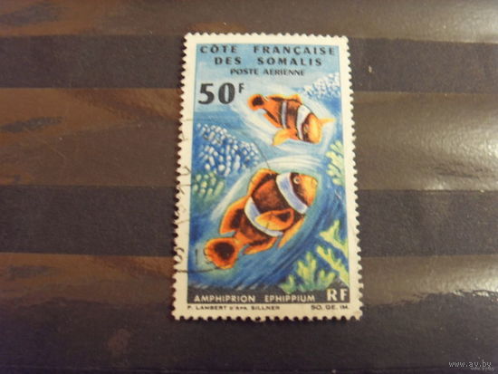 Французская колония Французский Берег Сомали фауна моря коралловая рыба дорогая легкое повреждение (2-1)