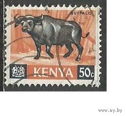 Кения. Африканский буйвол. 1966г. Mi#26.