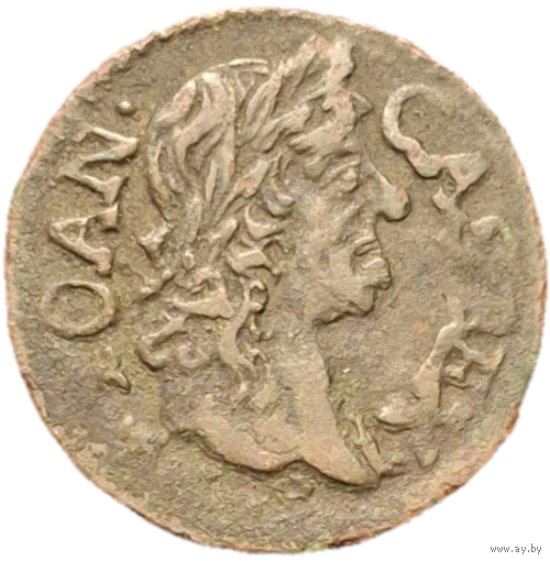 Солид 1664 распродажа коллекции