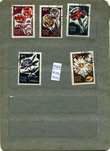 СССР, 1965, ЦВЕТЫ   серия 5м