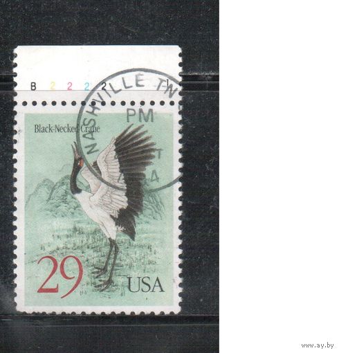 США-1994, (Мих.2505) , гаш. , Фауна, Птицы