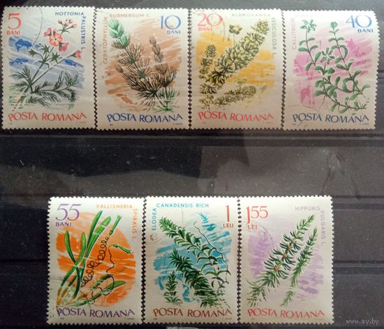 Водные растения.