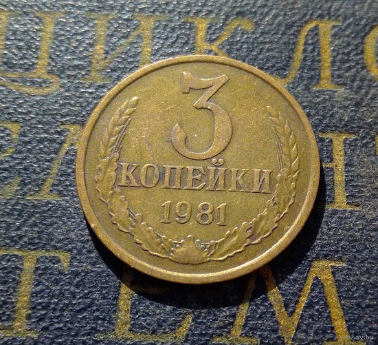 3 копейки 1981 СССР #45