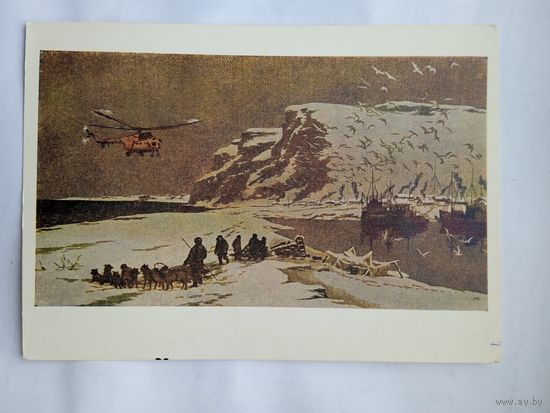 Мешков. Таймыр. На берегу Карского моря