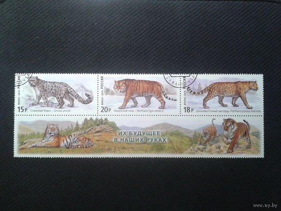 Россия, 2014. Дикие кошки, сцепка с купоном. Mi-6,4 евро гаш.