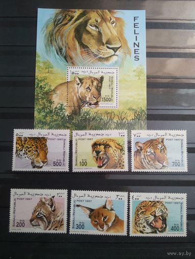 Сомали 1997 г. Дикие кошки.
