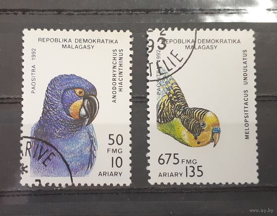Мадагаскар. 192 год. Фауна. Птицы. Попугаи