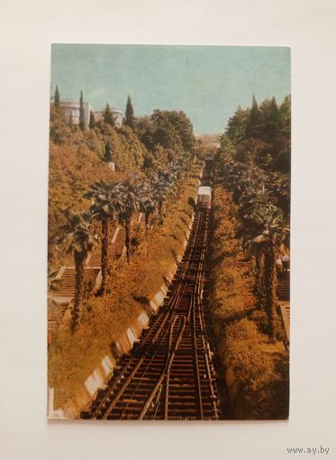 Открытка Сочи фото М.Альперта. 1968 год. Чистая