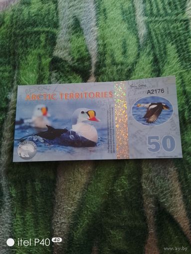 Арктик 50