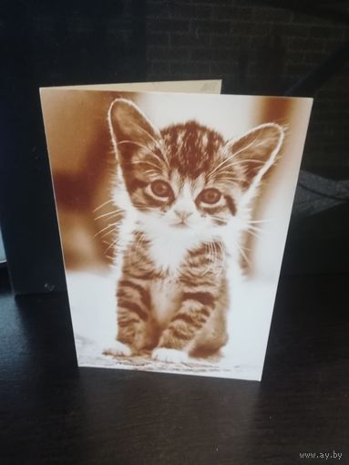 Открытка Hallmark