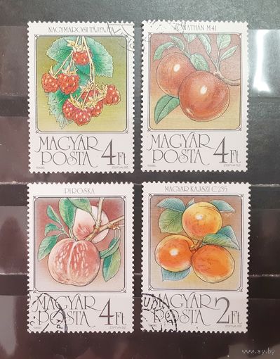Венгрия. 1986 год. Флора. Фрукты. Ягоды (1576)