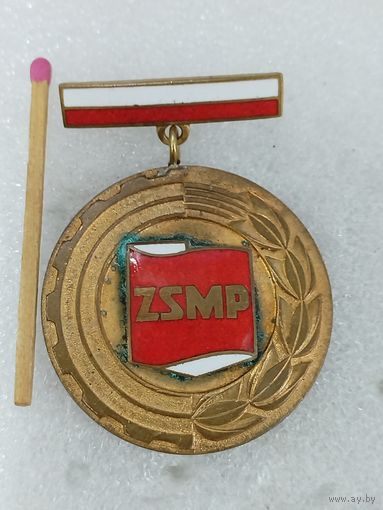 Знак. За заслуги перед Познаньским обществом. тяжёлый