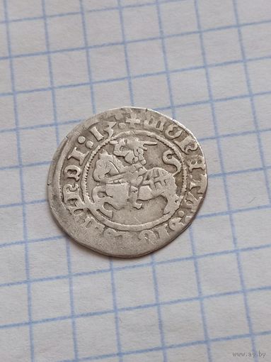Полугрош 1513 года