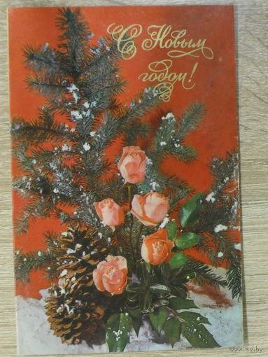 ЧИСТАЯ ДВОЙНАЯ ОТКРЫТКА СССР. С НОВЫМ ГОДОМ! фото. Е. ИГНАТОВИЧ 1970 год.
