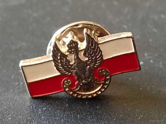 Значек знак Польша Орёл на флаге патриотика