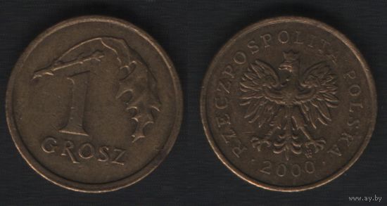 Польша y276 1 грош 2000 год (mw) (_5