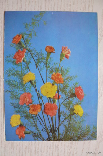 Шаров Ю., Композиция из гвоздик; 1988, двойная, подписана.