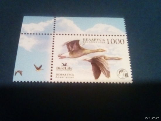 Беларусь 2009 гусь