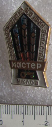 Мастер сельскохозяйственного производства, г.Шклов