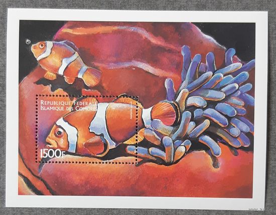 1999 - Морская жизнь - Коморские острова