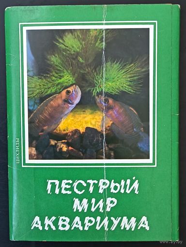 Комплект из 12 открыток (не хватает 6) Пестрый мир аквариума Цихлиды 1988 Выпуск 7