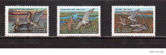 Россия-1992 (Заг.35-37) **  , Утки