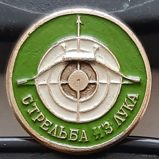 Стрельба из лука. Ас-29