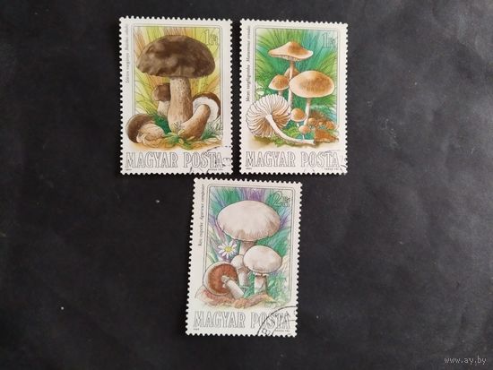 Венгрия  1984  3 м     грибы