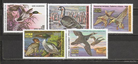 ФФ2 Россия 1994-96 Утки