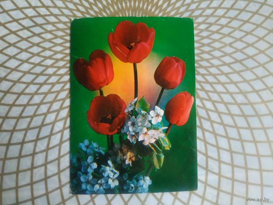 Открытка СССР 1983 год.   Чистая. Г.Костенко . Состояние на скане.