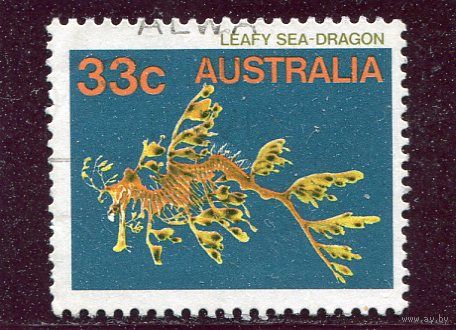 Австралия. Морская фауна