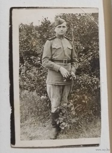 Фото в коллекцию