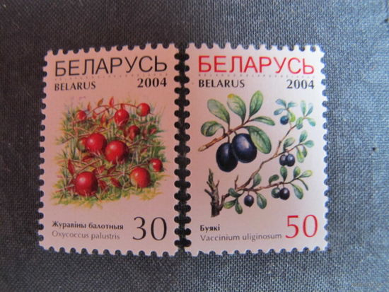 Марки РБ ##535, 538. Клюква болотная. Голубика