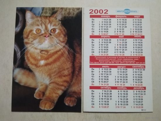 Карманный календарик. Котик. Мингорсоюзпечать. 2002 год
