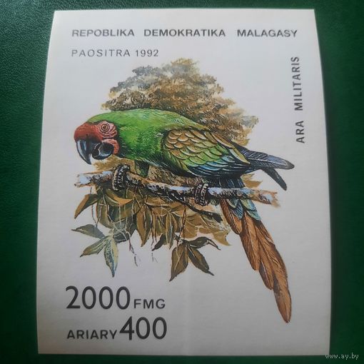 Мадагаскар 1992. Фауна. Попугаи. Блок