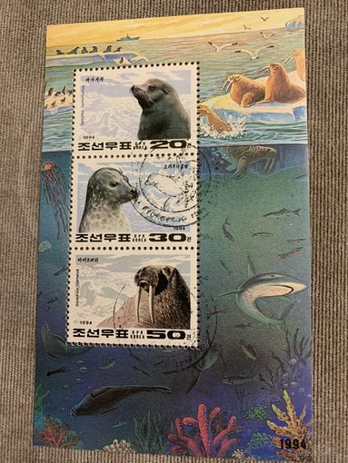 КНДР 1994. Морские котики. Малый лист
