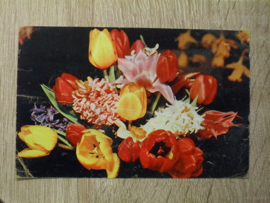 ПОДПИСАННАЯ ОТКРЫТКА СССР. "БУКЕТ". Б.  КРУЦКО. И Р. ПАПИКЬЯНА. 1969 ГОД.