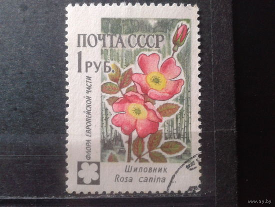 1960 Шиповник, концевая с клеем без наклейки