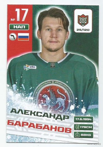 Александр Барабанов / Коллекция "Ак Барс Казань 2025-206"