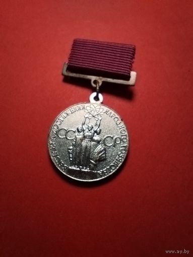 Серебрянная медаль ВДНХ. За успехи в народном хозяйстве СССР. С Рубля. (04) Очень красивая.