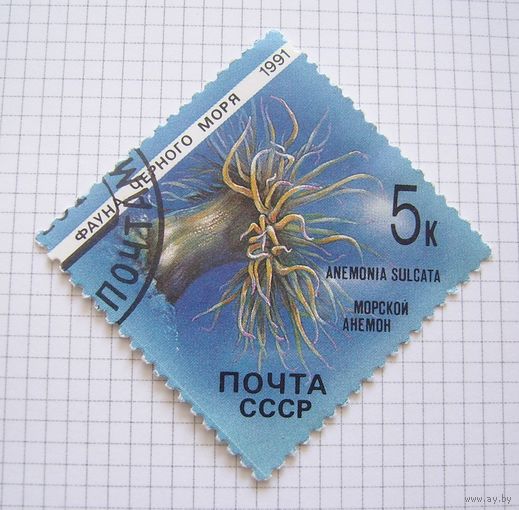 СССP 1991г.