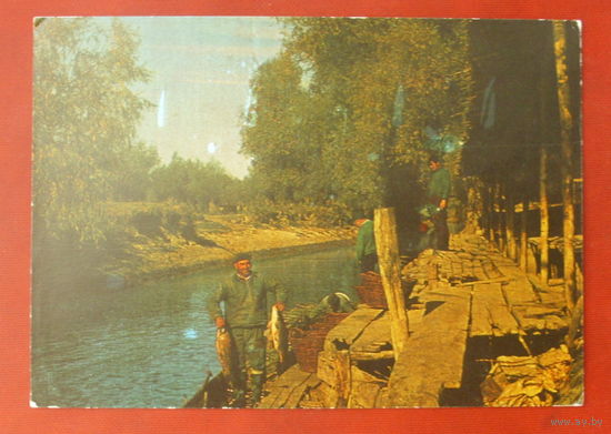 Румыния. Чистая. 1921.