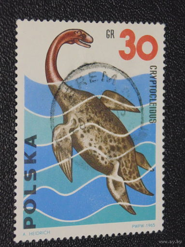 Польша 1965 г. Криптоклейдус. Юрский период.