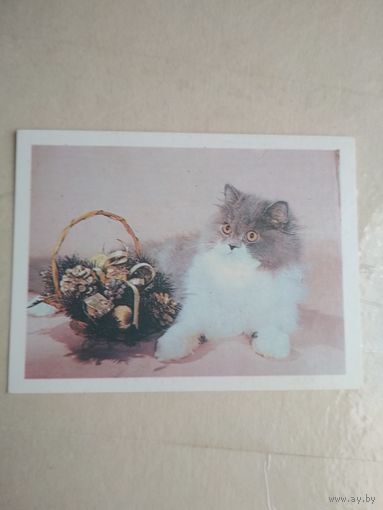 Карманный календарик. Кошки . 1996 год